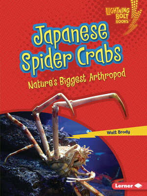 cover image of Japanese Spider Crabs